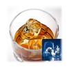 image:imageManitowoc Undercounter Ice Cube Machine 52 lbs24 hrs 25 lbs Storage Stainless Steel Drain Pump